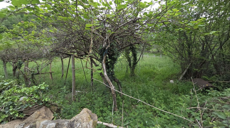 Asturias - San Martín - 400m2