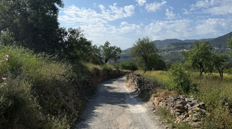 Granada - Béznar - 25471m2