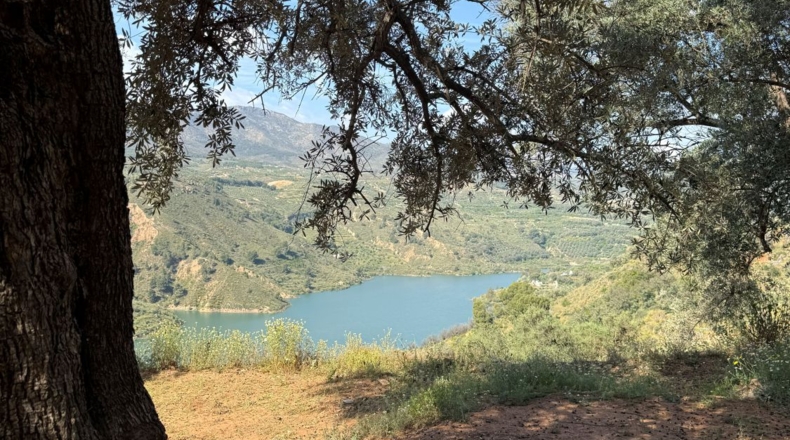 Granada - Béznar - 25471m2