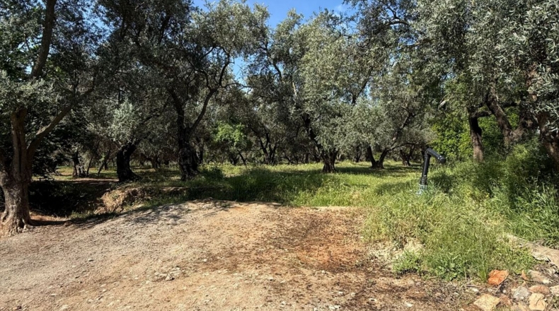 Granada - Béznar - 25471m2