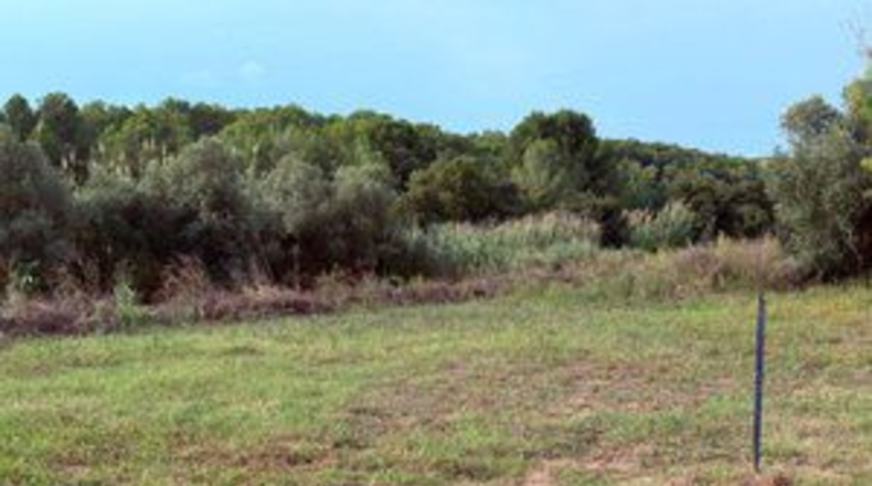 Таррагона - la Riera de Gaià - 4000m2