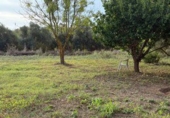 Rural estate for sale in la Riera de Gaià ref: TR407858 photo
