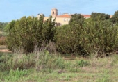 Rural estate for sale in la Riera de Gaià ref: TR407858 photo