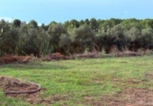 Rural estate for sale in la Riera de Gaià ref: TR407858 photo