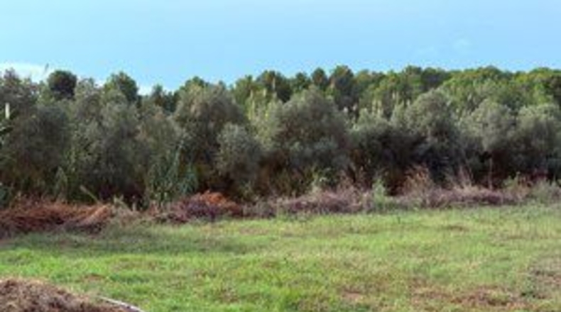 Таррагона - la Riera de Gaià - 4000m2