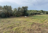 Rural estate for sale in la Riera de Gaià ref: TR407858 photo