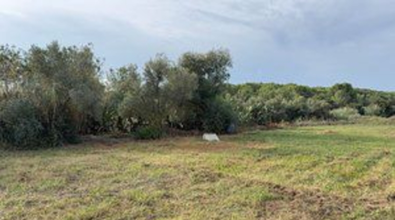 Таррагона - la Riera de Gaià - 4000m2