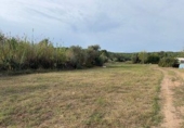 Rural estate for sale in la Riera de Gaià ref: TR407858 photo