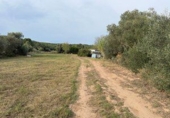 Rural estate for sale in la Riera de Gaià ref: TR407858 photo