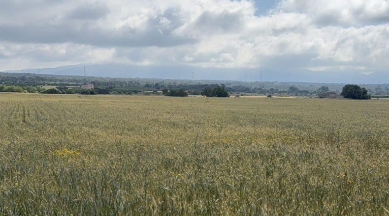 Таррагона - el Pla de Santa Maria - 105000m2