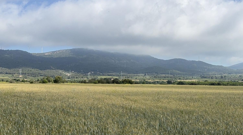 Таррагона - el Pla de Santa Maria - 105000m2