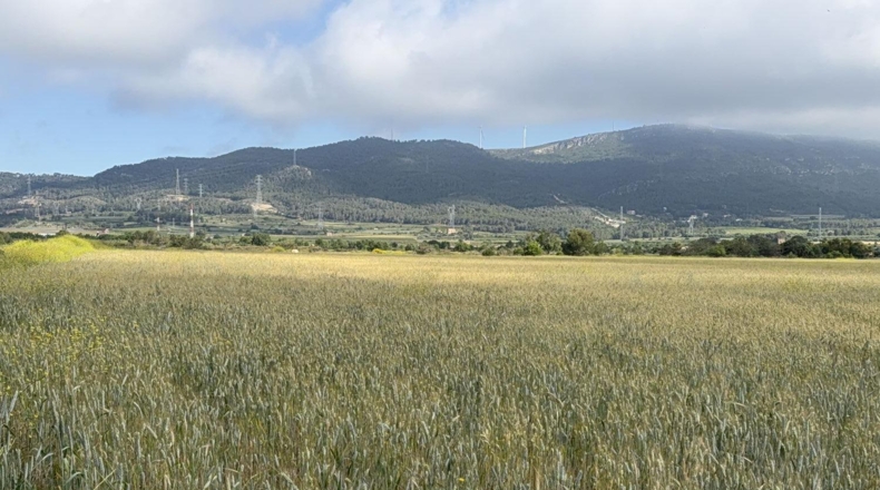 Таррагона - el Pla de Santa Maria - 105000m2