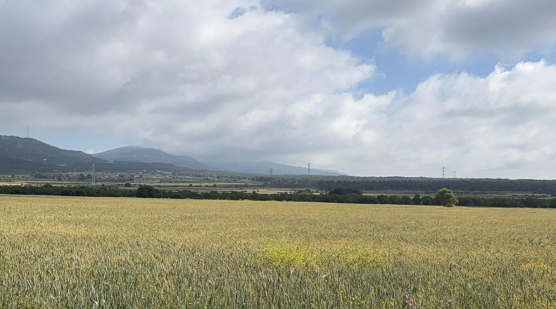 Таррагона - el Pla de Santa Maria - 105000m2