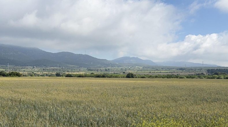 Таррагона - el Pla de Santa Maria - 105000m2