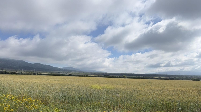 Таррагона - el Pla de Santa Maria - 105000m2