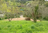 Non-developable land for sale in Gijón ref: TR73657 photo