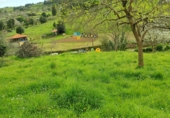 Non-developable land for sale in Gijón ref: TR73657 photo