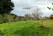 Non-developable land for sale in Gijón ref: TR73657 photo
