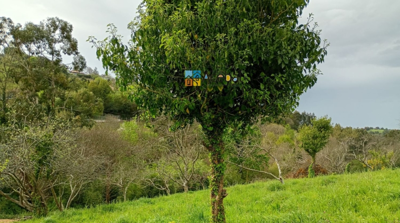 Asturias - Caldones - 3125m2