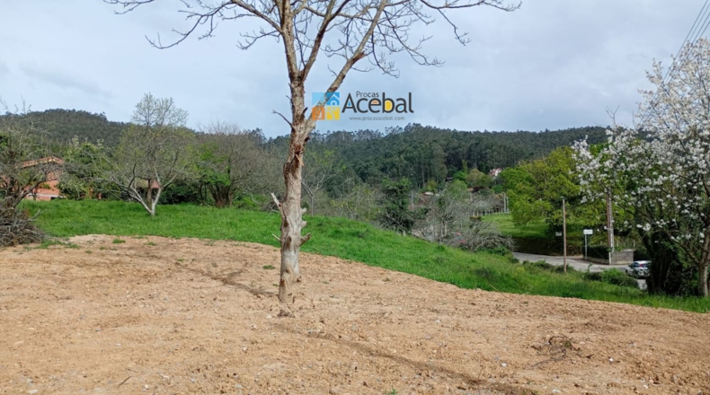 Asturias - Caldones - 3125m2