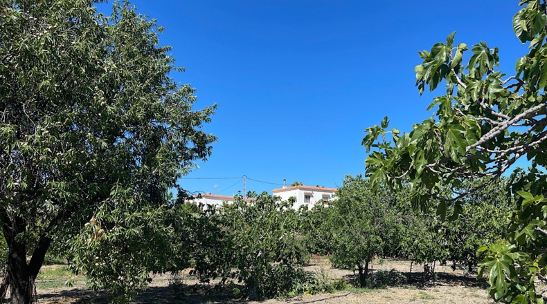 Almería - Lucainena de las Torres - 6000m2