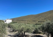 Casa de camp amb terreny en venda a la España, Lucainena de las Torres, ref.: TR407870 foto