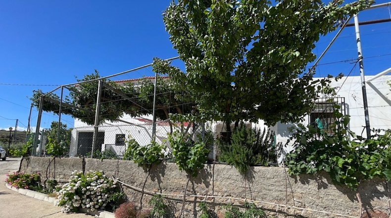 Almería - Lucainena de las Torres - 6000m2