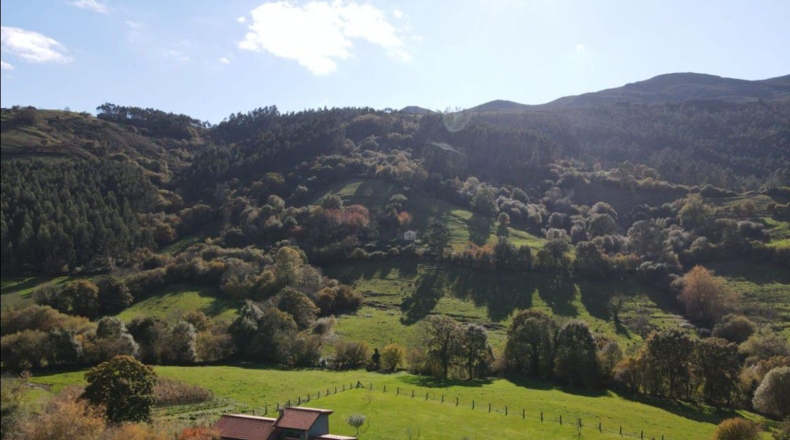 Asturias - Pola de Siero - 1249m2