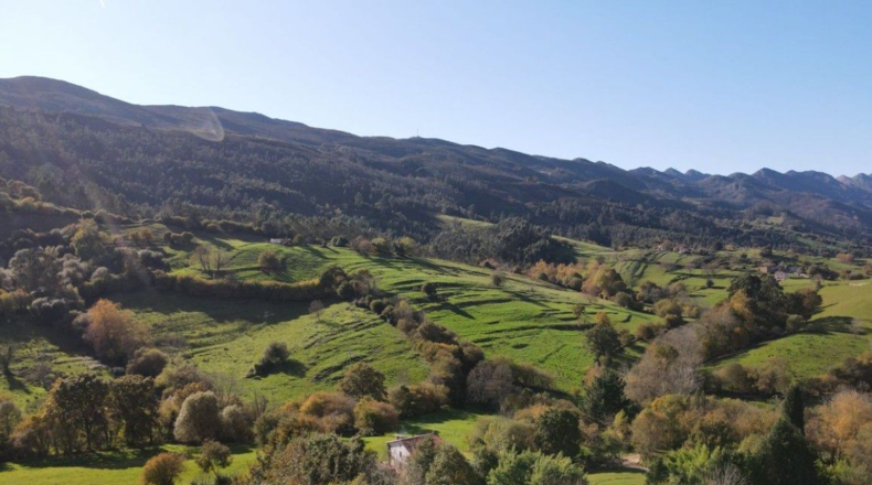 Asturias - Pola de Siero - 1249m2