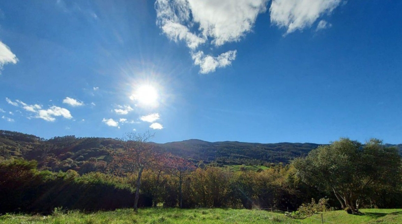 Asturias - Pola de Siero - 1249m2