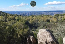 Andújar 3000&nbsp;m² 
