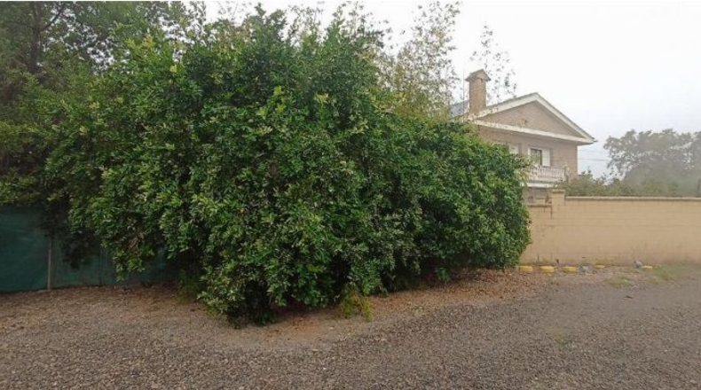 Córdoba - Alcolea - 2000m2