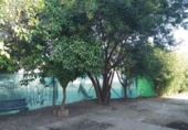 Xalet independent amb terreny en venda a Alcolea ref.: TR111721 foto