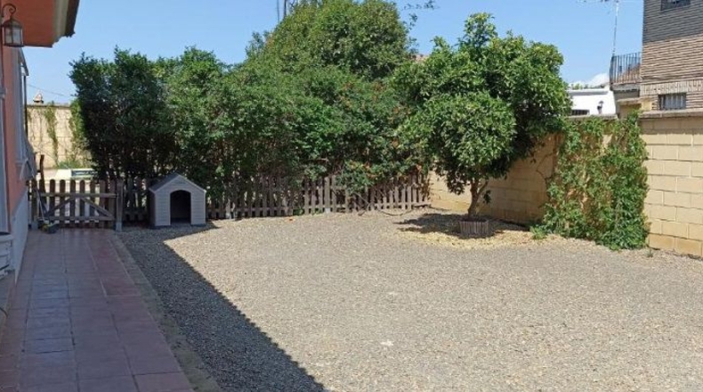 Córdoba - Alcolea - 2000m2