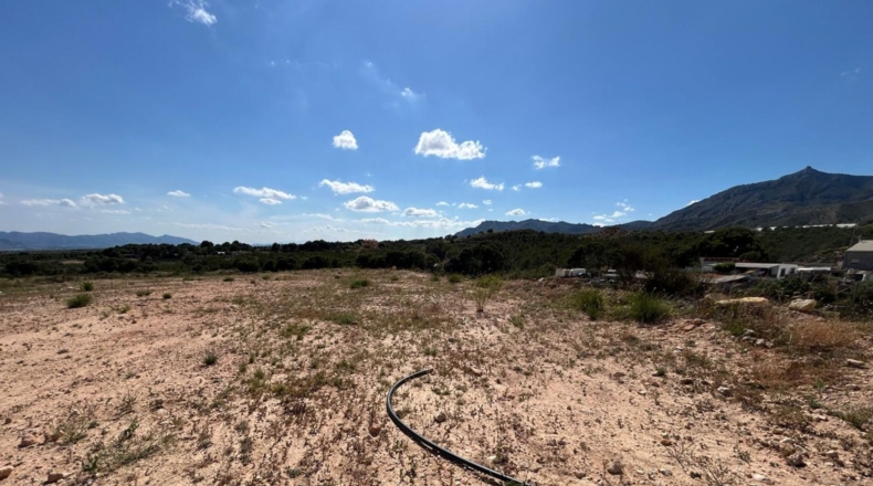 Alicante - Crevillent - 9642m2