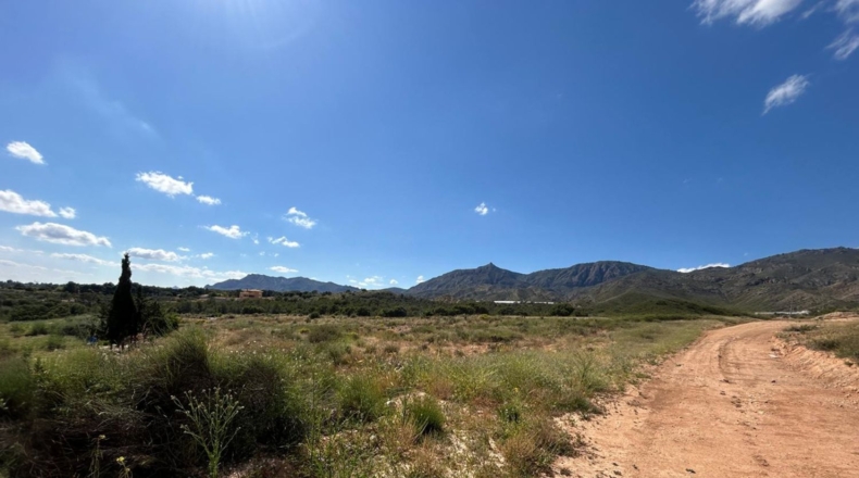 Alicante - Crevillent - 9642m2