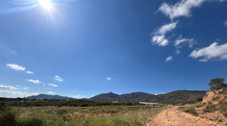 Alicante - Crevillent - 9642m2