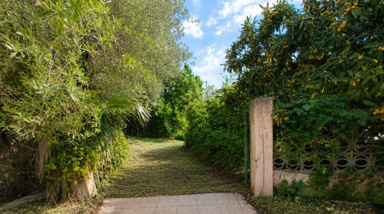 Castellón - L'Alcora - 833m2