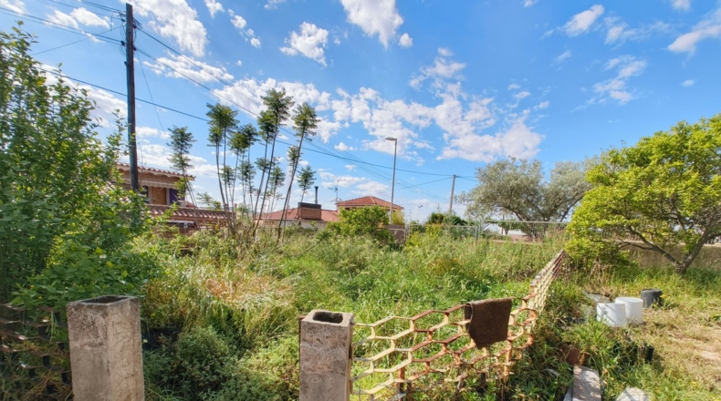 Castellón - L'Alcora - 833m2