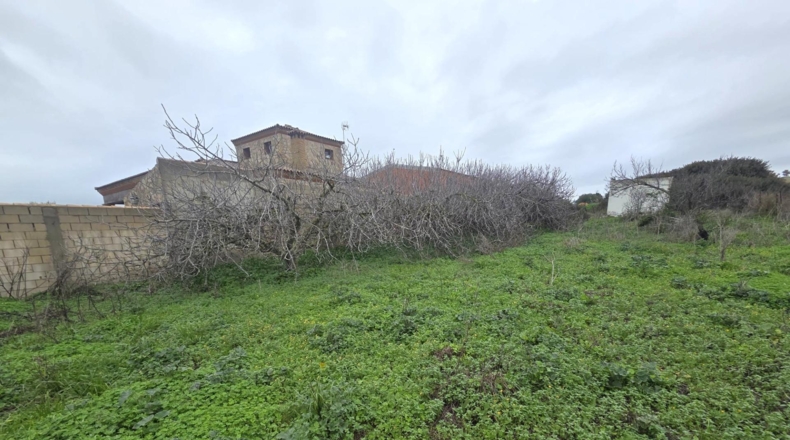 Cádiz - Чиклана-де-ла-Фронтера - 983m2