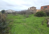 Terreny no urbanitzable en venda a Chiclana de la Frontera ref.: TR383586 foto