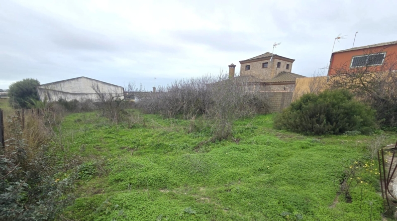 Cádiz - Чиклана-де-ла-Фронтера - 983m2