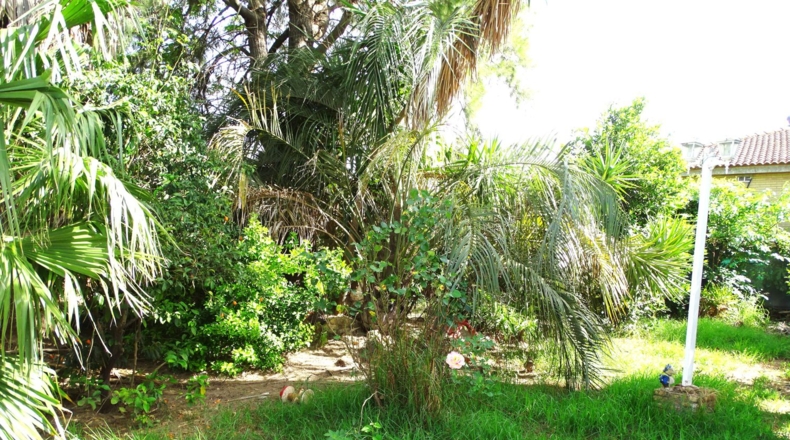 Seville - Alcalá de Guadaíra - 1149m2