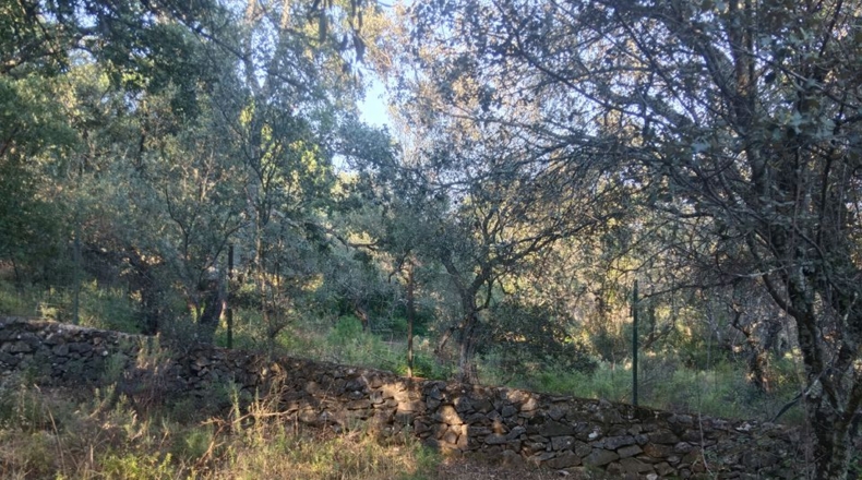 Huelva - Linares de la Sierra - 60000m2