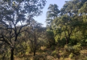 Земля на продажу у города Linares de la Sierra. Фото