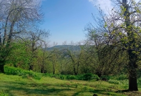 Aracena 170000&nbsp;m²