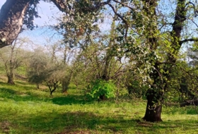 Aracena 170000&nbsp;m²
