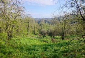 Aracena 170000&nbsp;m²