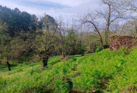 Aracena 170000&nbsp;m²