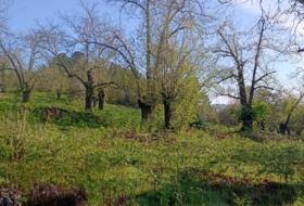 Aracena 170000&nbsp;m²